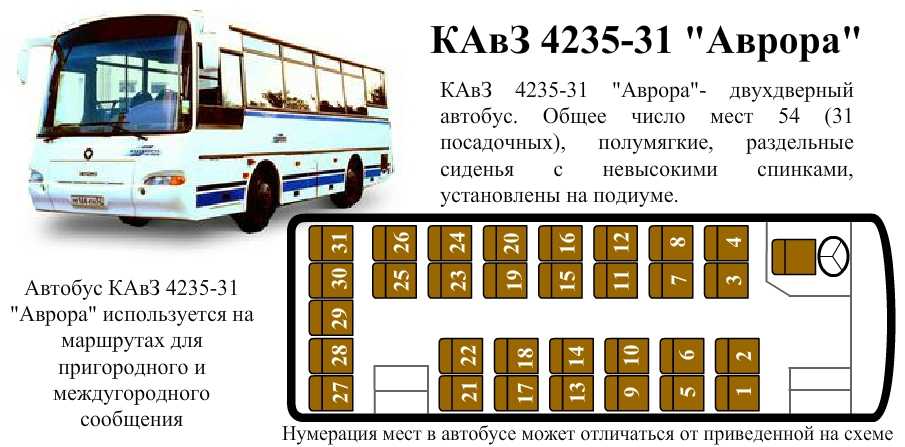 Карта междугородних автобусов. Автобус КАВЗ 4238 расположение мест. Автобус КАВЗ 39 мест схема. Расположение мест в автобусе Икарус 42 места. Расположение мест в автобусе пазик.