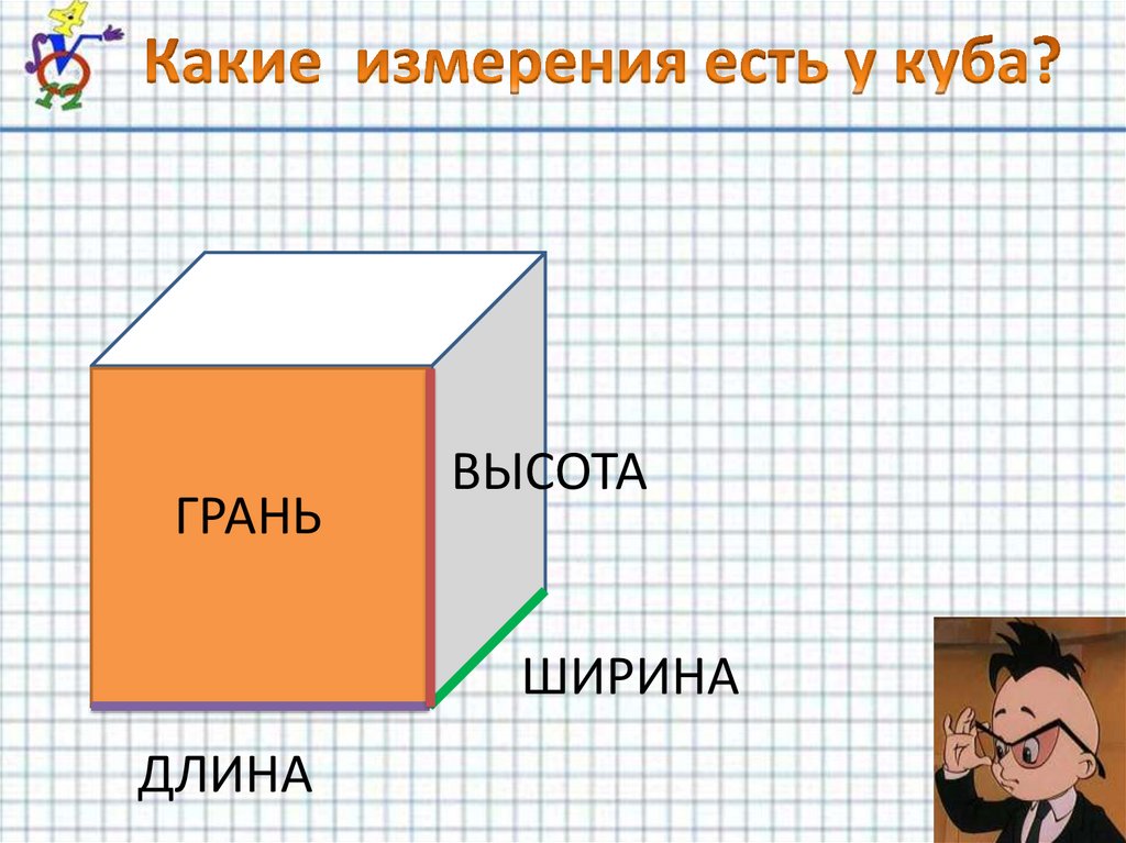 Длина и ширина на картинке