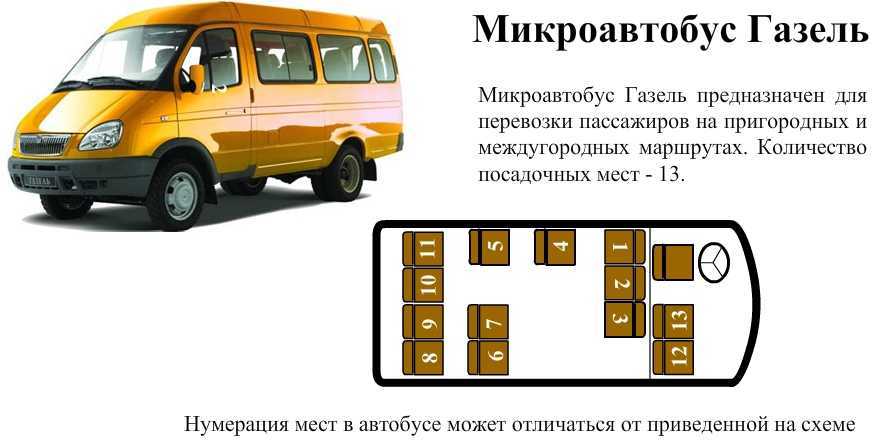 Автобусы категории б. ГАЗ 322132 маршрутное такси. Газель Некст микроавтобус схема салона. Газель Некст 16 мест схема. ГАЗ-3221 схема салона.