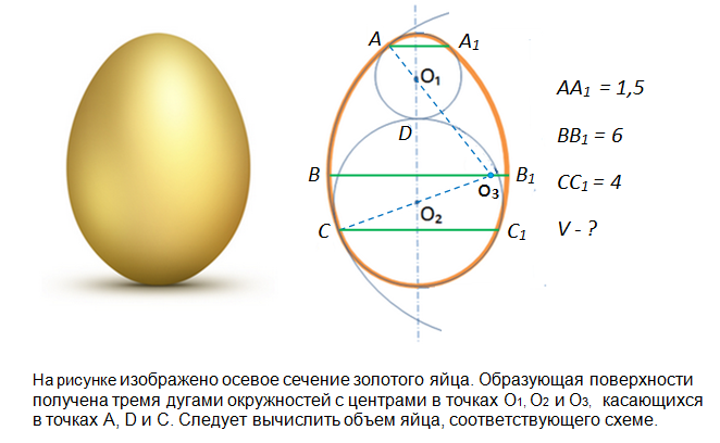 Диаметр яйца. Золотое сечение яйцо. Золотое сечение в курином яйце. Золотое сечение яйцо птицы. Золотое сечение пропорция яйца.