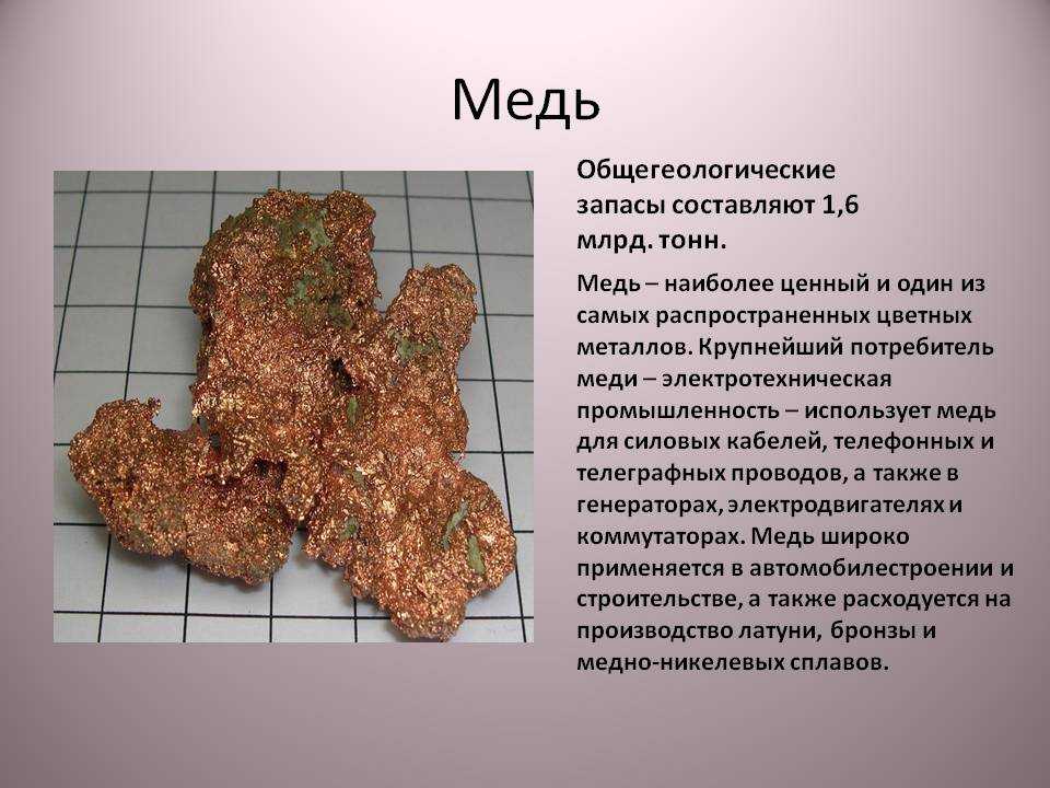 Краткое содержание медный