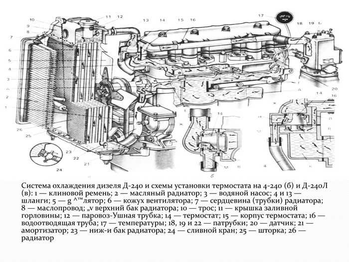 Охлаждение двигателя мтз. Система охлаждения двигателя д240 МТЗ 2. Система охлаждения двигателя д 240 МТЗ 80. Система охлаждения двигателя трактора МТЗ 82. Системаохлождениятракторамтз80.
