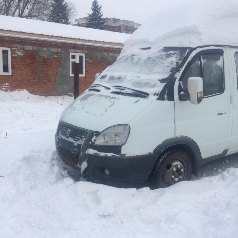 Что такое луидор газель