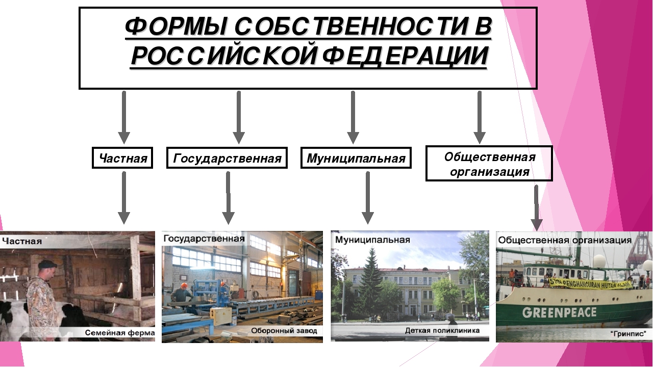 Собственность учреждений. Формы собственности примеры. Частная форма собственности примеры. Собственность общественных организаций примеры. Предприятия частной собственности примеры.