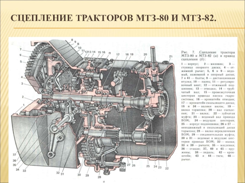 Сцепление мтз 80 схема