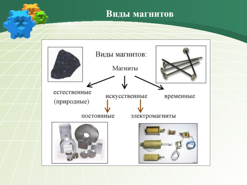 Магнитные три дня. Виды магнитов. Виды временных магнитов. Временные магниты. Магниты всех видов.