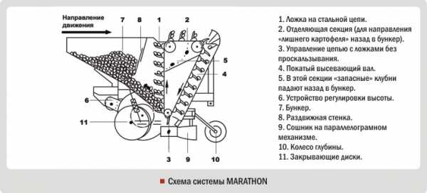 Размеры ежей для прополки картофеля чертежи