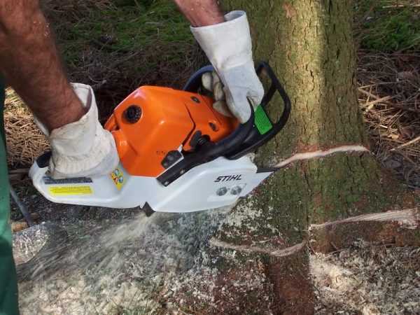 Штиль 361 настройка карбюратора – Бензопилы Stihl – обслуживание .